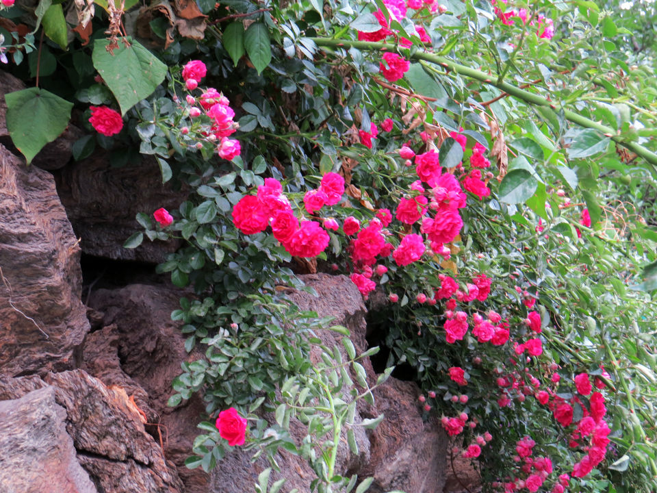 Photo of Sarahan, gateway to the land of 'divine musicians' 7/13 by The Compulsive Traveller