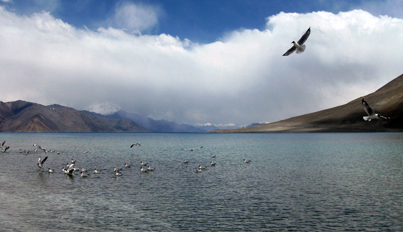 Photo of Chang La, Pangong Lake and the Himalayan Marmot 10/12 by The Compulsive Traveller