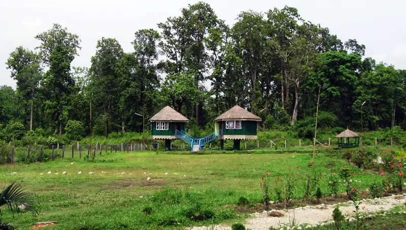 Photo of Lataguri, West Bengal, India by The Compulsive Traveller