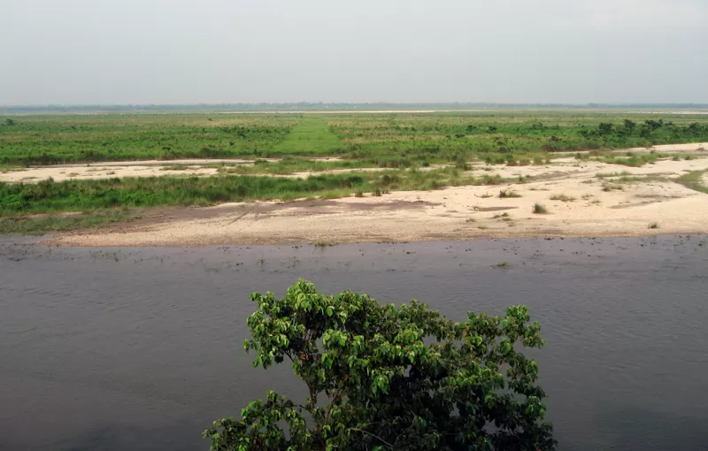 Photo of Gorumara National Park, Nimna Tandu Forest, West Bengal, India by The Compulsive Traveller