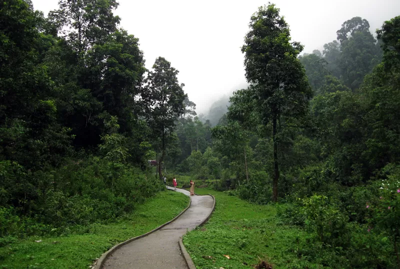 Photo of Samsing, Sikkim, India by The Compulsive Traveller