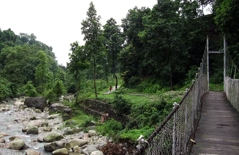 Photo of Suntaleykhola, Eastnar Forest, West Bengal, India by The Compulsive Traveller