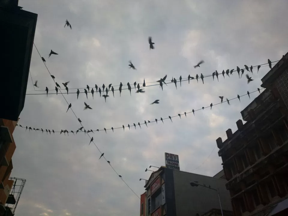 Photo of Pycrofts Garden Road, Thousand Lights, Chennai, Tamil Nadu, India by Chendilk