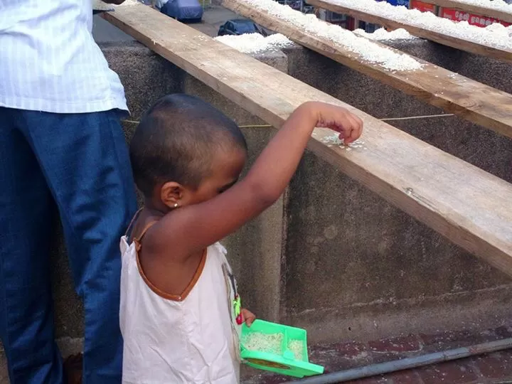 Photo of Pycrofts Garden Road, Thousand Lights, Chennai, Tamil Nadu, India by Chendilk