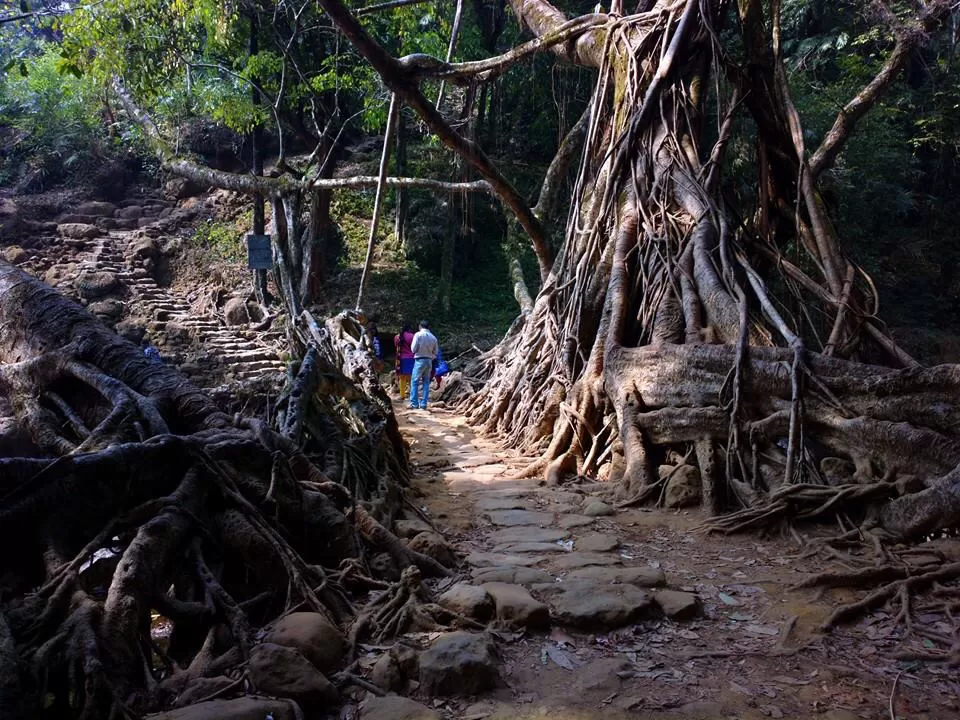 Photo of Riwai Village, Meghalaya, India by Chendilk