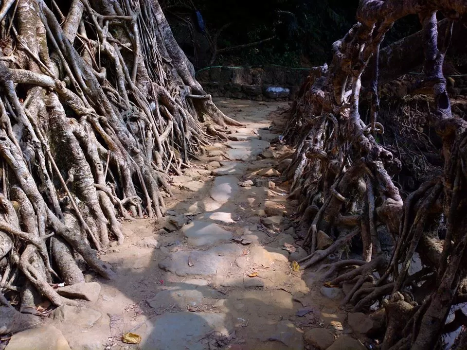 Photo of Riwai Village, Meghalaya, India by Chendilk
