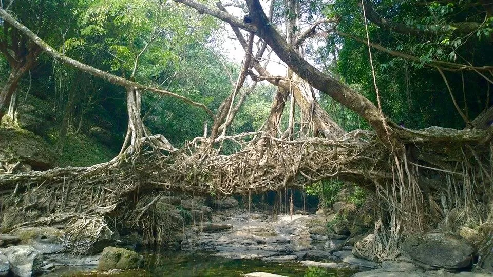 Photo of Riwai Village, Meghalaya, India by Chendilk