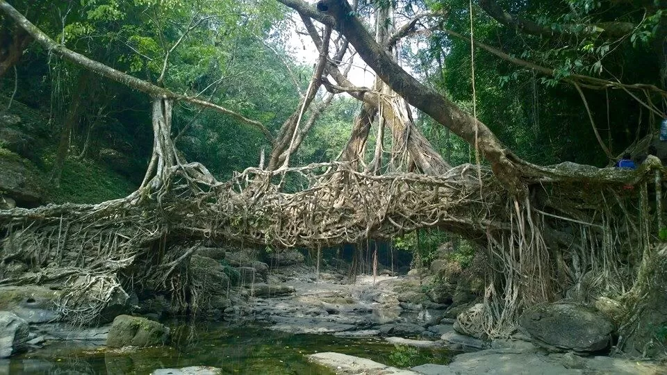 Photo of Riwai Village, Meghalaya, India by Chendilk