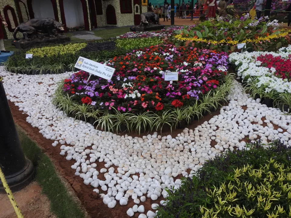 Photo of Lalbagh Botanical Garden, Bengaluru, Karnataka, India by Chendilk