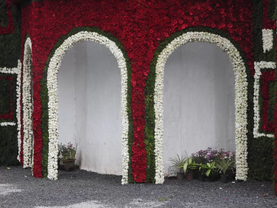 Photo of Lalbagh Botanical Garden, Bengaluru, Karnataka, India by Chendilk