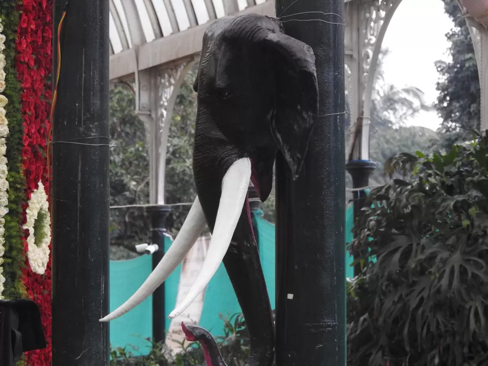 Photo of Lalbagh Botanical Garden, Bengaluru, Karnataka, India by Chendilk