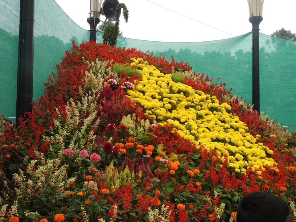 Photo of Lalbagh Botanical Garden, Bengaluru, Karnataka, India by Chendilk