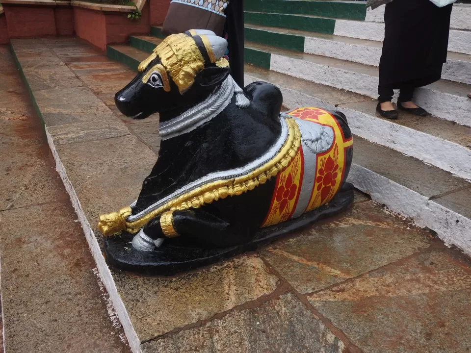 Photo of Lalbagh Botanical Garden, Bengaluru, Karnataka, India by Chendilk