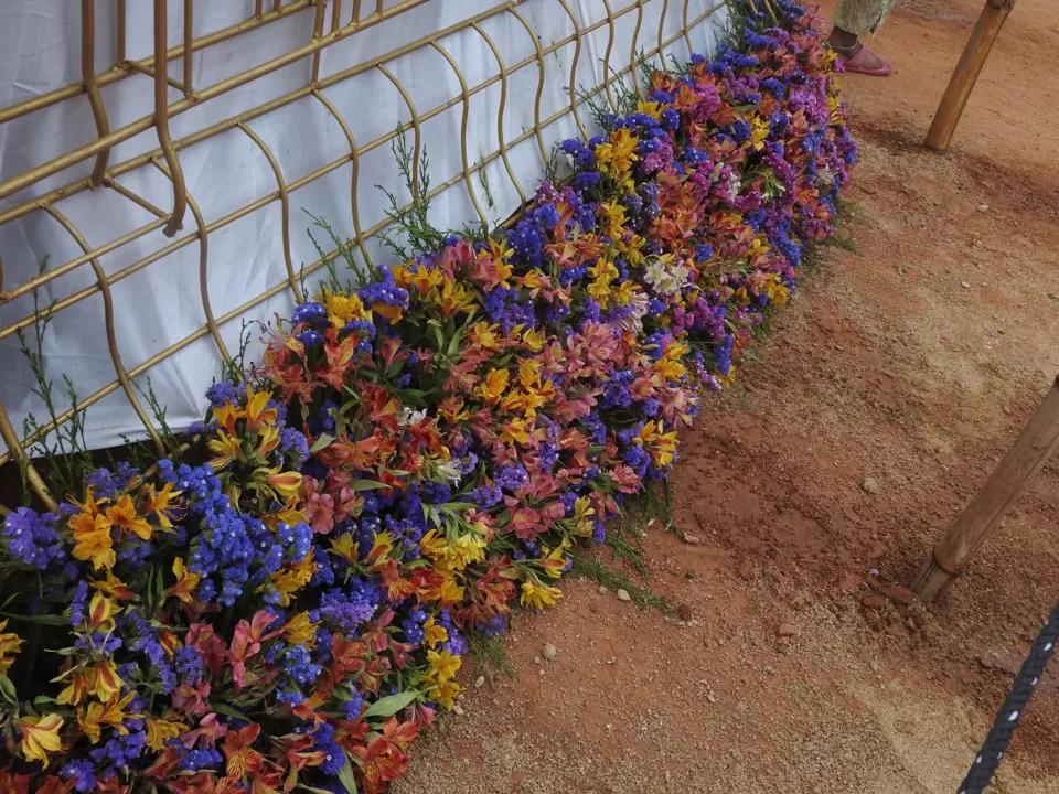 Photo of Lalbagh Botanical Garden, Bengaluru, Karnataka, India by Chendilk