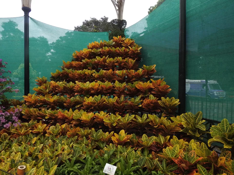 Photo of Lalbagh Botanical Garden, Bengaluru, Karnataka, India by Chendilk