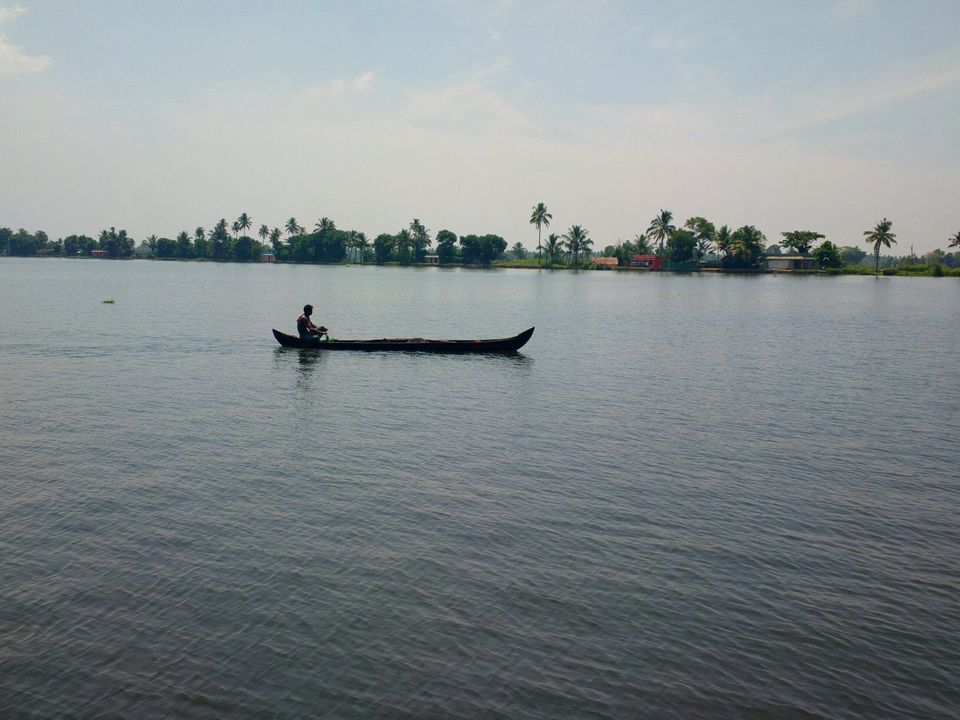 Photo of Alappuzha Backwaters - lots of chemmeen but no Karuthamma 7/34 by Chendilk