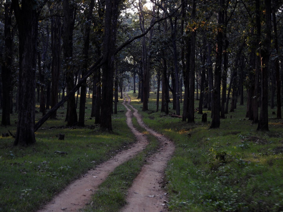 Photo of Nagarahole National Park - Kabini Backwaters 12/15 by Chendilk