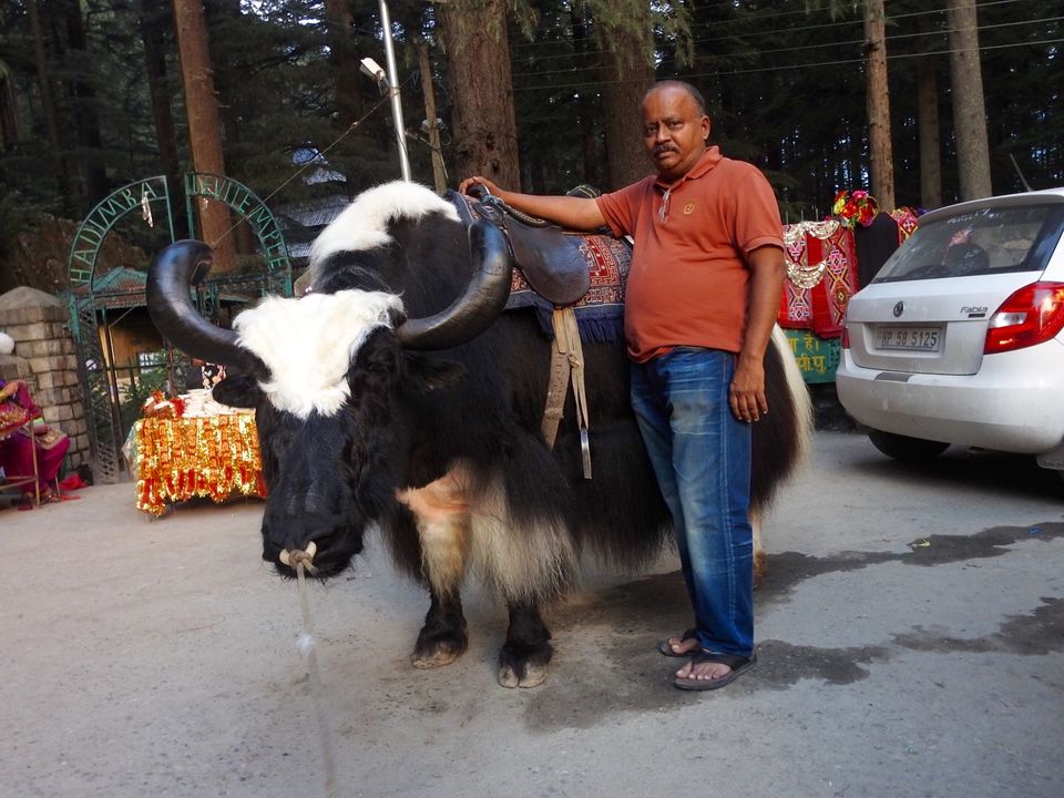 Photo of Mahabharatha's most destructive warrior Ghatotkacha's temple in Manali 8/8 by Chendilk