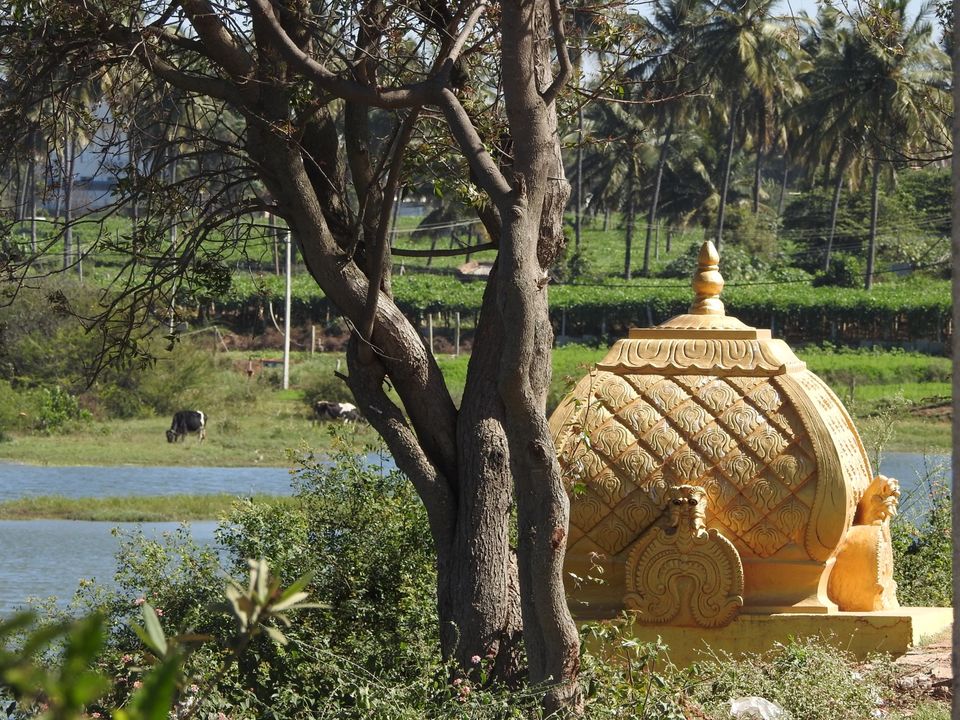 Photo of Hoskote lake, a small unsullied waterbody - a birder's paradise near Bangalore 16/43 by Chendilk