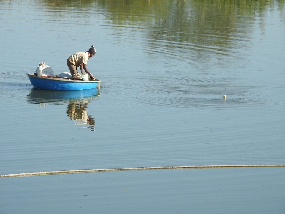 Photo of Hoskote lake, a small unsullied waterbody - a birder's paradise near Bangalore 30/43 by Chendilk