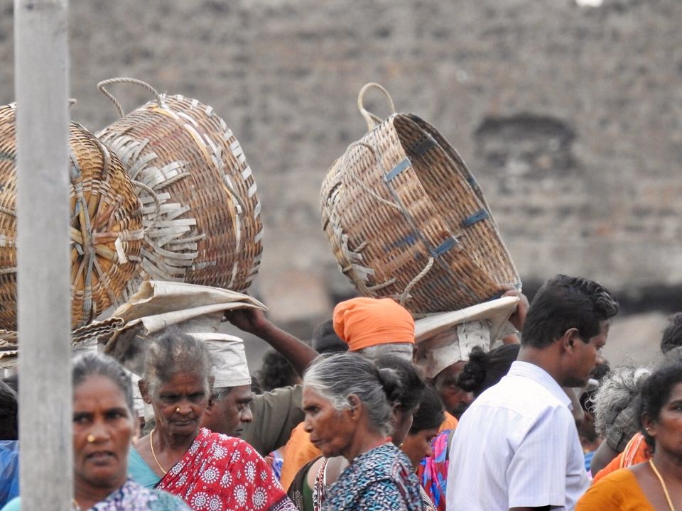 Photo of Kasimedu Fish Market, Royapuram, Chennai, Tamil Nadu, India by Chendilk