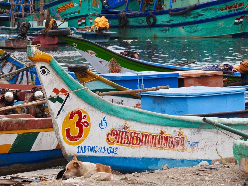 Photo of Kasimedu Fish Market, Royapuram, Chennai, Tamil Nadu, India by Chendilk