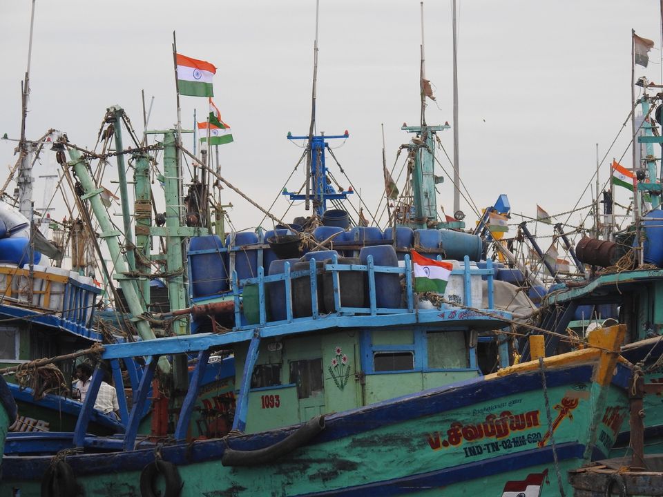 Photo of Kasimedu Fish Market, Royapuram, Chennai, Tamil Nadu, India by Chendilk