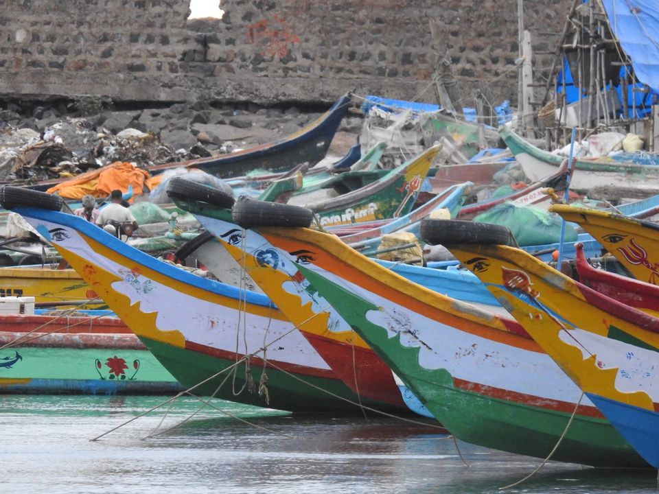 Photo of Kasimedu Fish Market, Royapuram, Chennai, Tamil Nadu, India by Chendilk