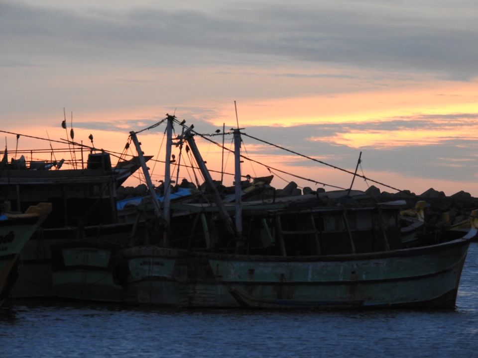 Photo of Kasimedu Fish Market, Royapuram, Chennai, Tamil Nadu, India by Chendilk
