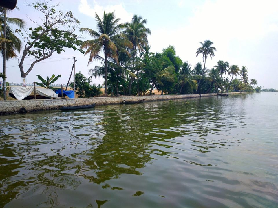 Photo of Alappuzha Backwaters - lots of chemmeen but no Karuthamma 2/34 by Chendilk