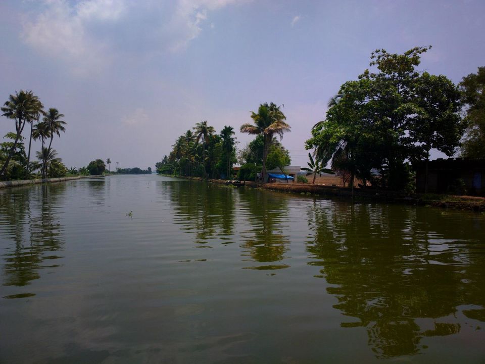 Photo of Alappuzha Backwaters - lots of chemmeen but no Karuthamma 3/34 by Chendilk