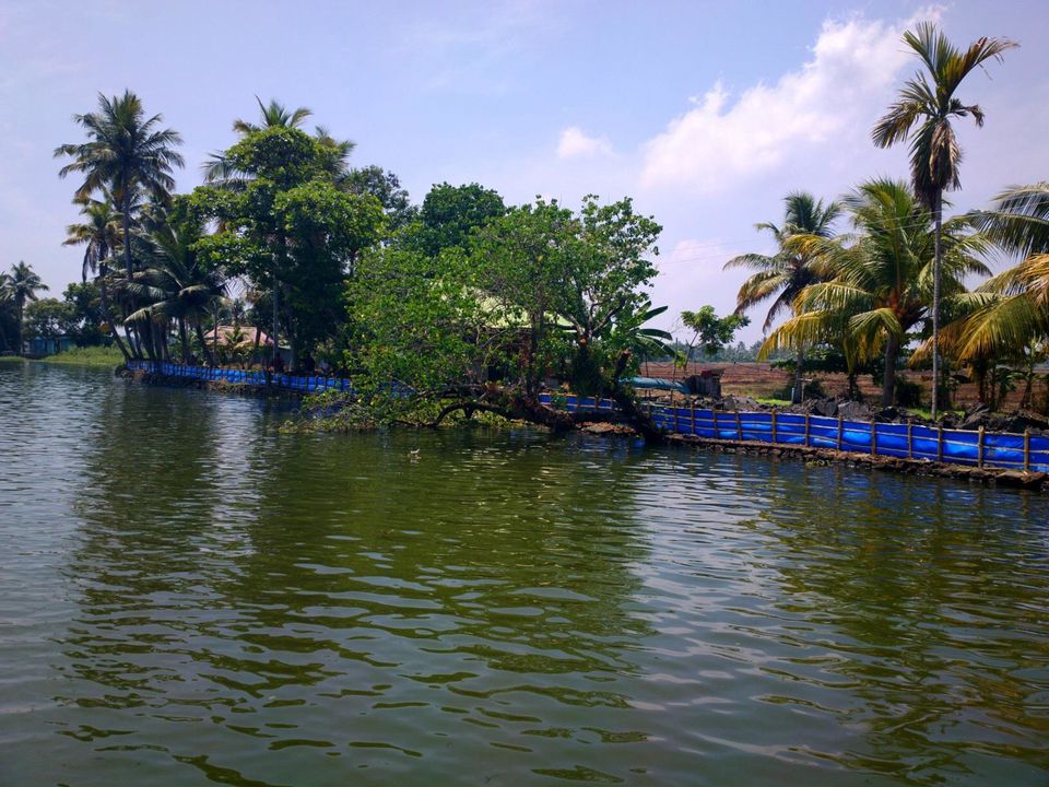 Photo of Alappuzha Backwaters - lots of chemmeen but no Karuthamma 4/34 by Chendilk
