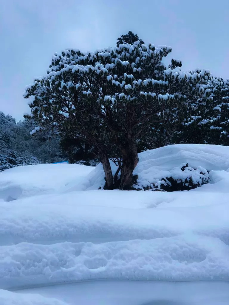 Photo of Chopta - The Incredible Experience! by Adarsh Srivastava