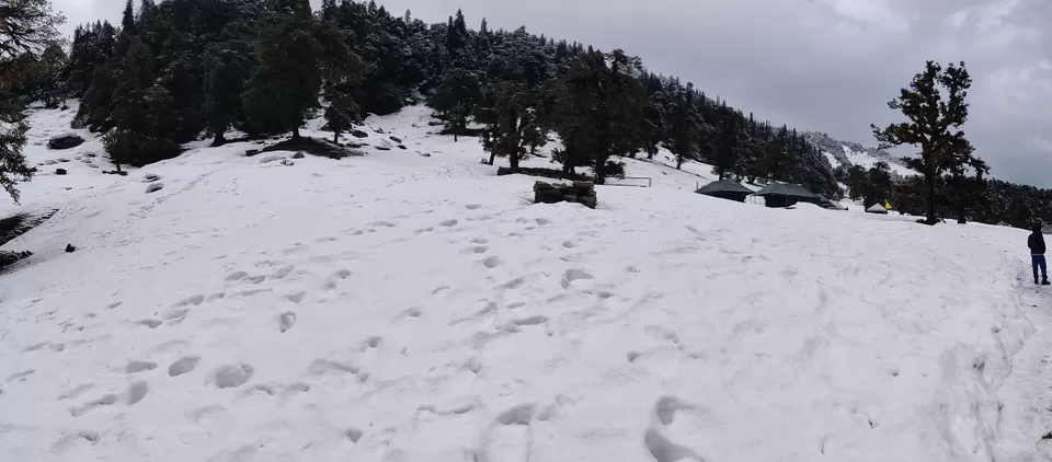 Photo of Chopta, Uttarakhand, India by Adarsh Srivastava