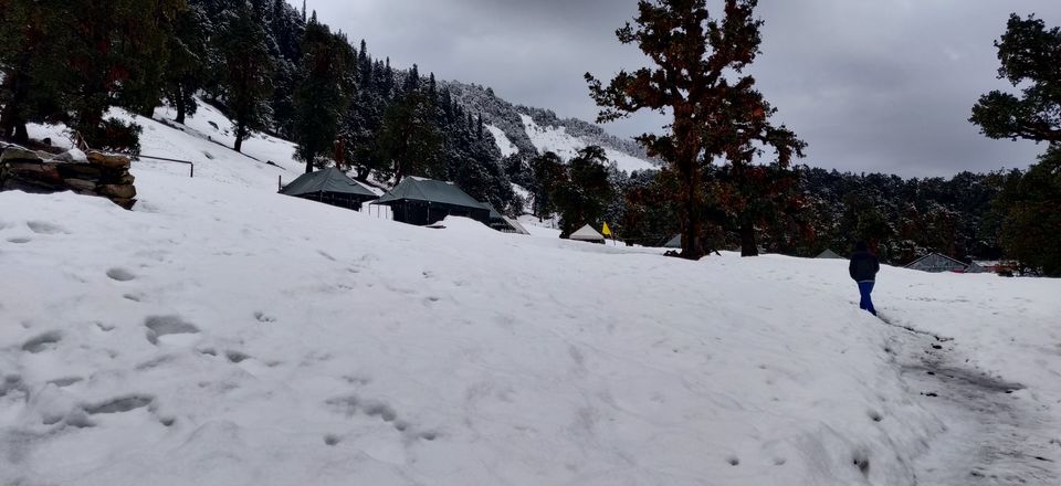 Photo of Chopta, Uttarakhand, India by Adarsh Srivastava