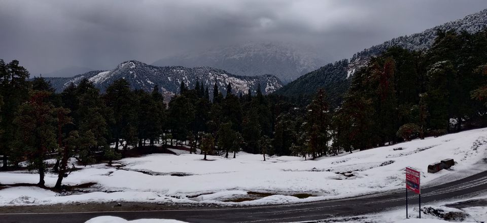 Photo of Chopta, Uttarakhand, India by Adarsh Srivastava