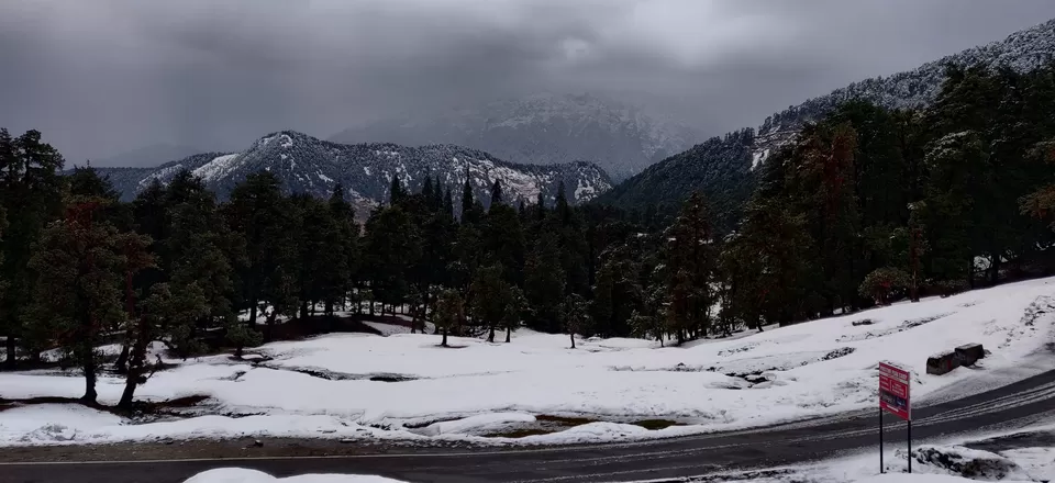 Photo of Chopta, Uttarakhand, India by Adarsh Srivastava