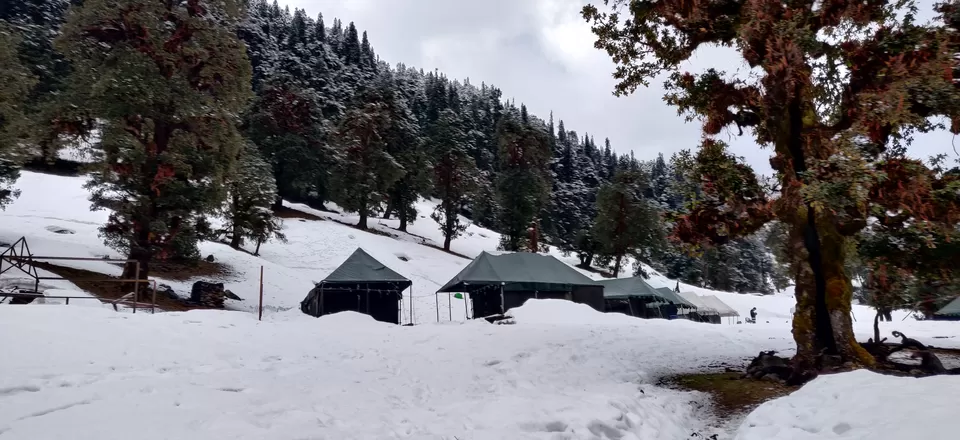 Photo of Chopta, Uttarakhand, India by Adarsh Srivastava