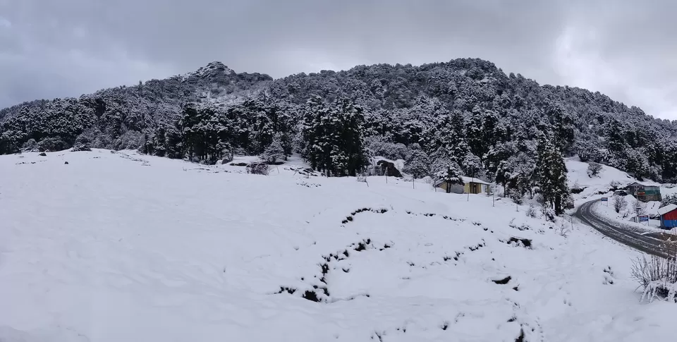 Photo of Chopta - The Incredible Experience! by Adarsh Srivastava