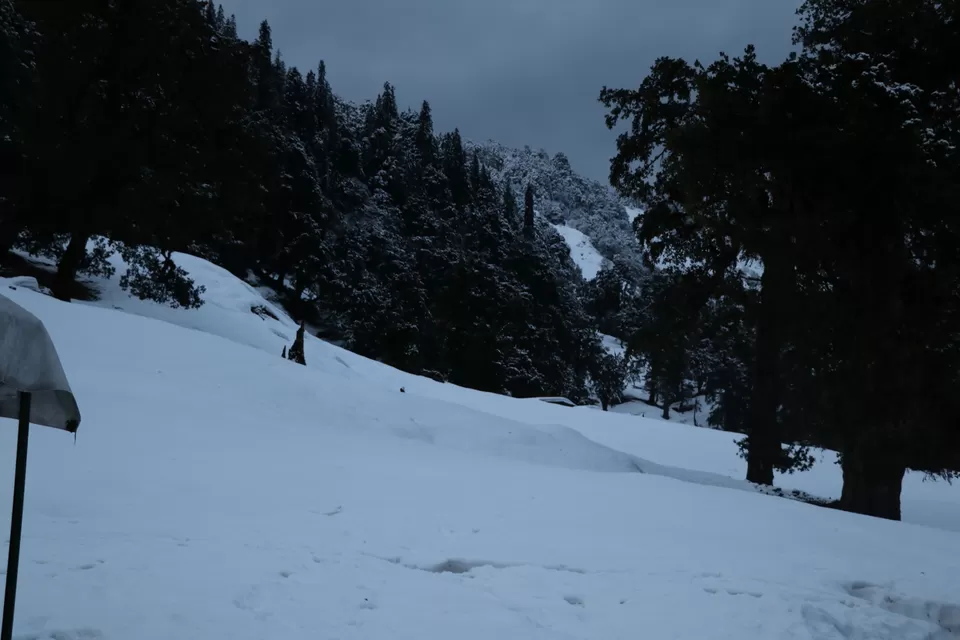 Photo of Chopta, Uttarakhand, India by Adarsh Srivastava