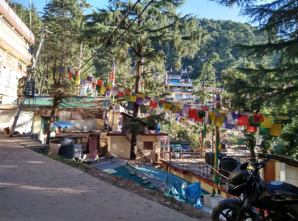 Photo of A Solitary Experience to Lahesh Cave (Triund – McLeodGanj) - Rs 2500 1/17 by Saurabh Jain