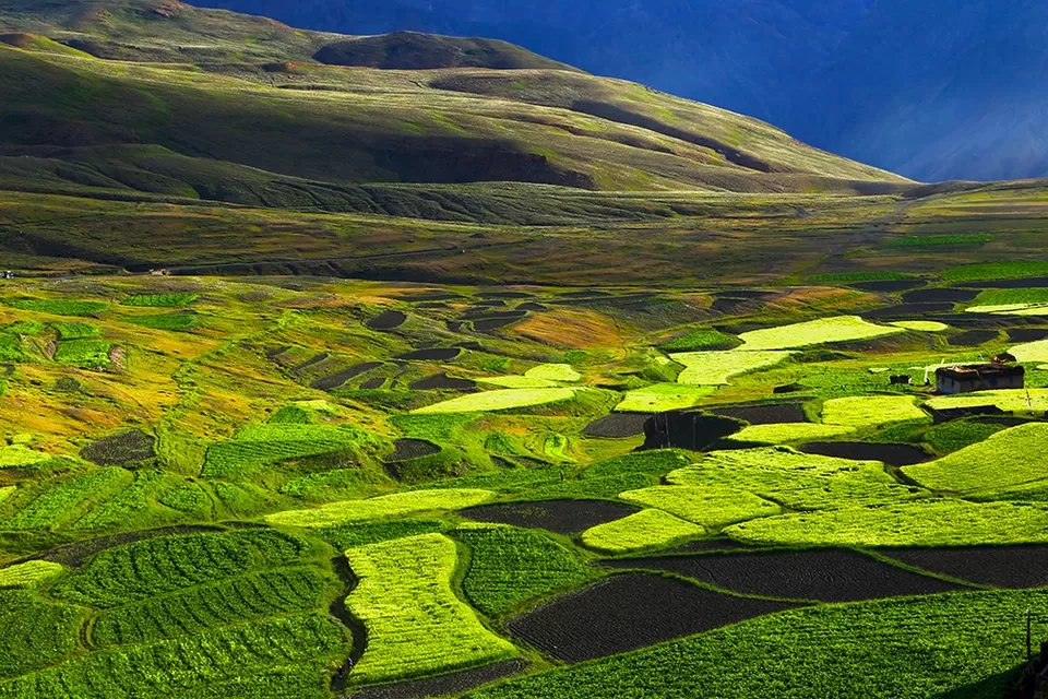 Photo of Langza, Langza, Himachal Pradesh 172114, India by nakul