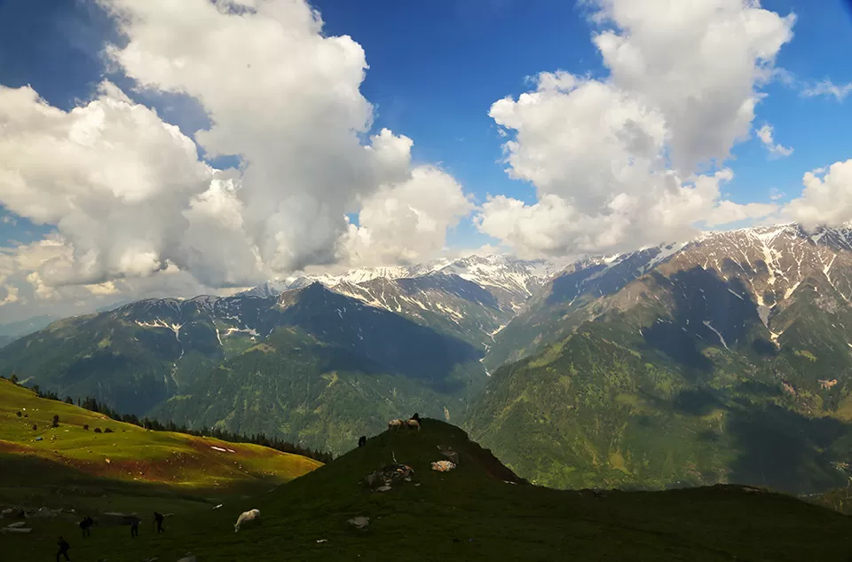 Photo of Dhauladhar, Dhauladhar, Bhowen, Himachal Pradesh 176310 by nakul
