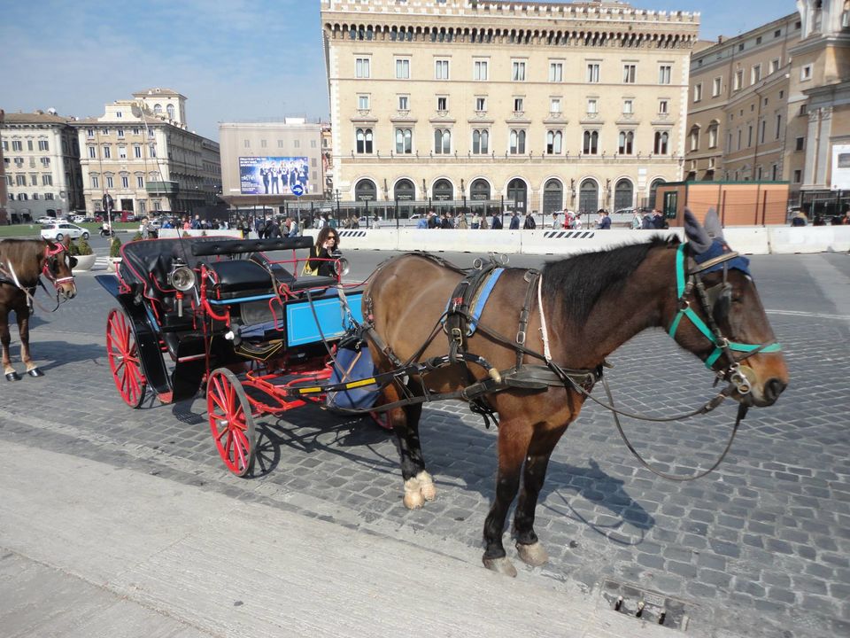Photo of Rome, Italy by Jason Pires