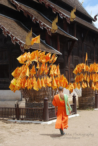Photo of Chiang Mai Thailand by Pamela Macnaughtan