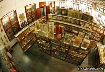 Photo of Museum of Forensic Science Bangkok Thailand by Pamela Macnaughtan