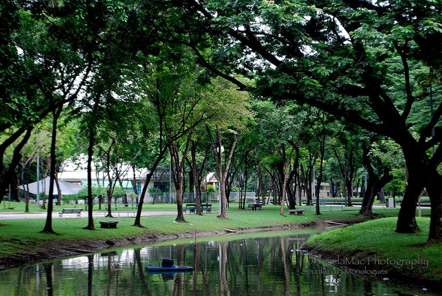 Photo of Lumphini Park Sukhumvit Road Bangkok Thailand by Pamela Macnaughtan
