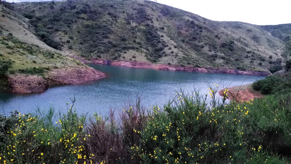 Photo of Avalanche Lake, Nilgiris, Tamil Nadu, India by Ashish Jain