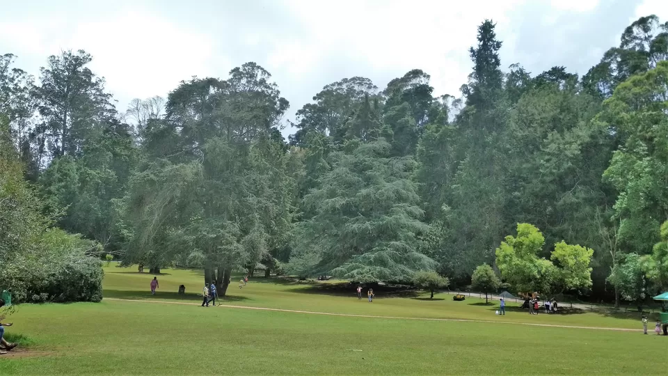 Photo of Ooty Botanical Gardens, Vannarapettai, Ooty, Tamil Nadu, India by Ashish Jain