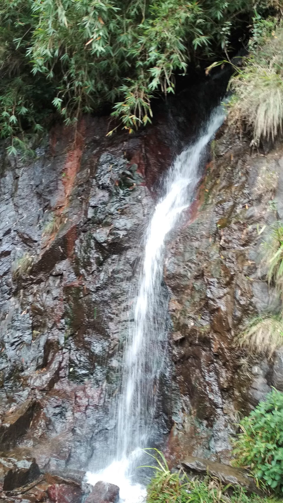 Photo of Doddabetta Peak, Nilgiris, Tamil Nadu, India by Ashish Jain